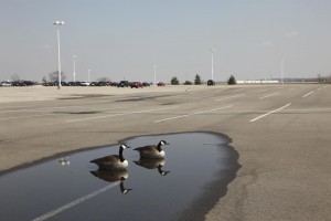 Ponding Water Parking Lot