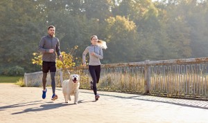 Most people don’t even think about how hot pavement could affect their dog’s paws, even though it’s a huge problem that can cause serious burns.